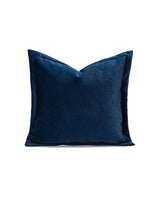 Blue Velvet with Border Cushion